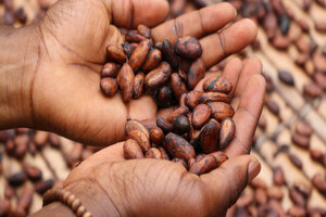 Cargill to empower women in cocoa-growing communities