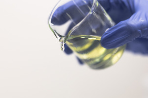 CETO3® omega-11 ingredient offers significant health benefits