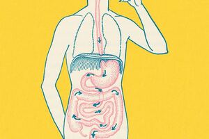 Chr Hansen adds to probiotic acquisition agglomeration