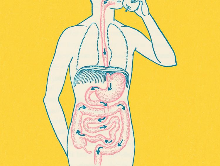 Chr Hansen adds to probiotic acquisition agglomeration