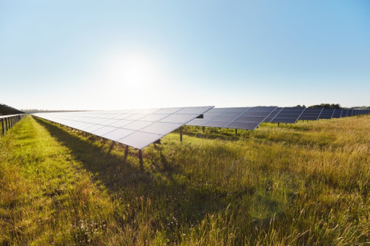 Chr. Hansen signs Power Purchase Agreement for solar-based production