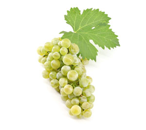 Clinical study highlights the role of whole-food grape matrix in post-meal metabolic response