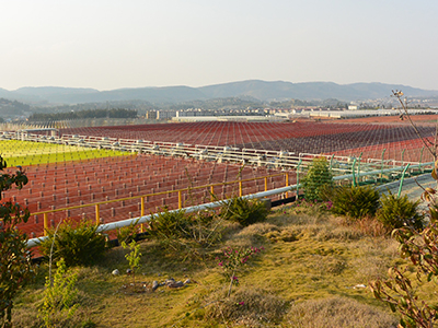 Clinically-Validated AstaZine Natural Astaxanthin 
