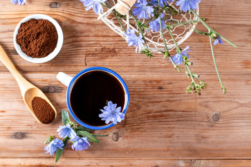 Coffee alternatives brew up new growth for wellness brands
