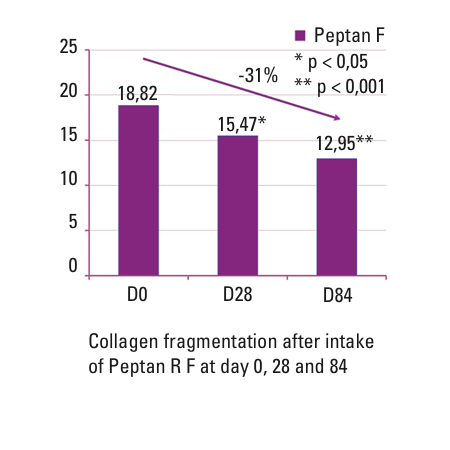 Figure 1: Collagen fragmentation after intake of Peptan F at day 0, 28 and 84