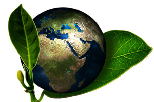 Combining sustainability and cognitive health for healthier consumers and a better planet