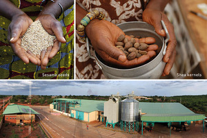 Cornelius supports ethical ingredient production in partnership with OLVEA