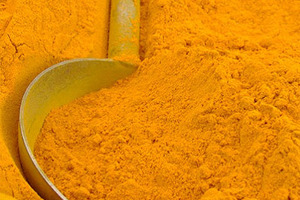 Curcumin improves memory and reduces neuropathological hallmarks of Alzheimer’s disease