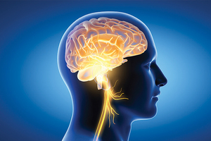 Curcumin’s cognitive health benefit validated in breakthrough research