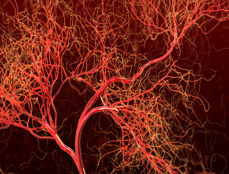 Deerland supplement shown to promote healthy cholesterol 