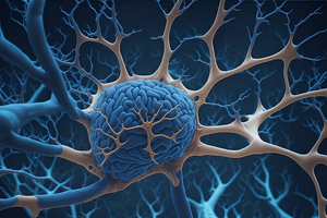 Dopamine linked to mentalising in a novel study