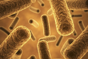 DuPont Human Microbiome Venture and P&G to research next-generation probiotics