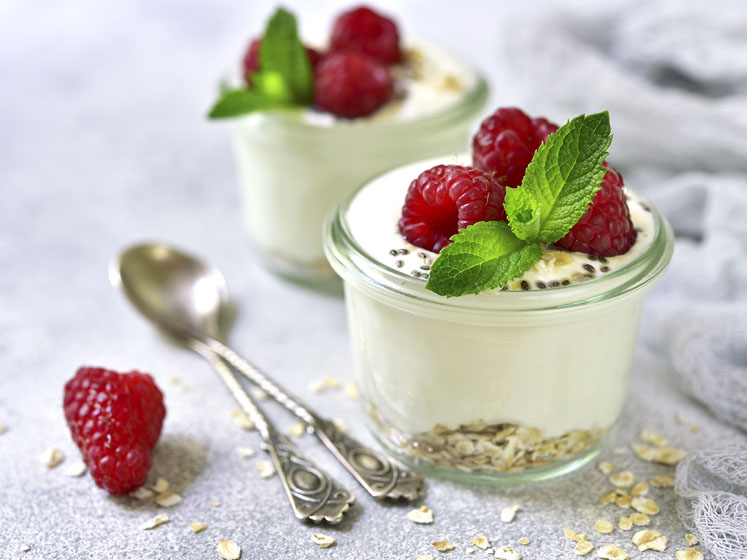 DuPont launches series of cultures to reshape fermented dairy industry