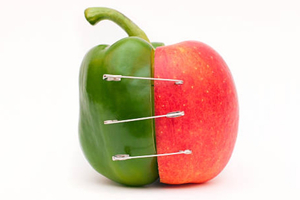 DuPont Nutrition and Biosciences merges with IFF
