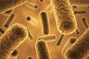 DuPont opens probiotics fermentation unit
