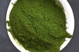 Dutch microalgae producer Duplaco will expand production 20-fold in a new location