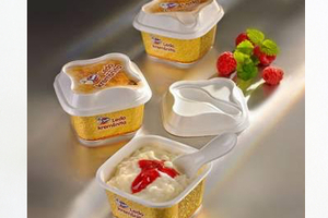 EasySnacking: The ice-cream of the crop 
