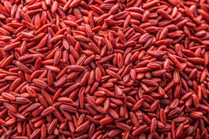 EU Monacolin K ban prompts ProBiotix Health to challenge brands to rethink cholesterol category innovation