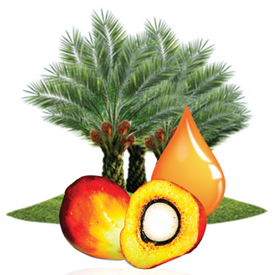 ExcelVite announces latest ingredients for non-soy, non-GMO full spectrum vitamin E (tocopherols & tocotrienols)