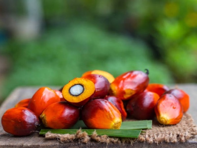 Experiment discovers “legacy effect” phenomenon of tocotrienol
