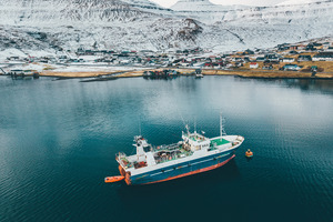 FAO rates 100% of Antarctic fish stocks sustainable, bolstering krill omega-3 sourcing credentials