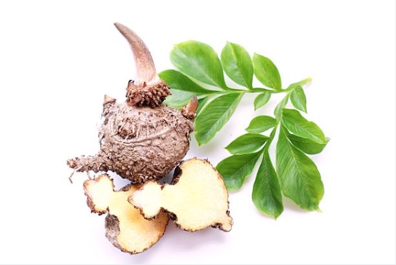 Glucomannan from the konjac plant
