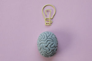 Finzelberg debuts botanical brain health booster, Concental