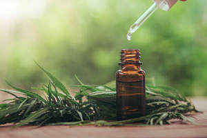 Food Standards Agency launches consultation on first proposed CBD food product authorisations