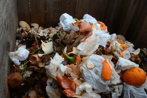 Food waste and obesity
