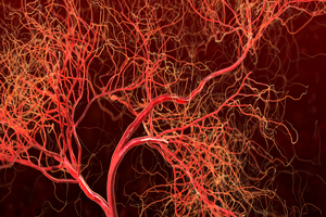 Freedom Softgels significantly reduce systolic blood pressure