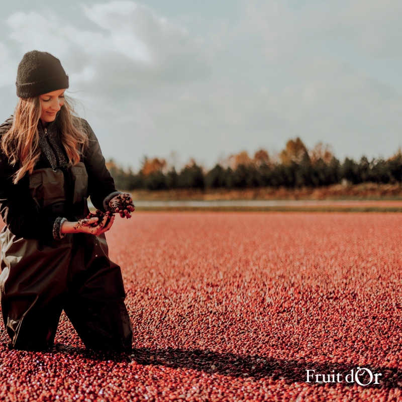 Fruit d’Or to debut new berry ingredients at IFT FIRST 2023