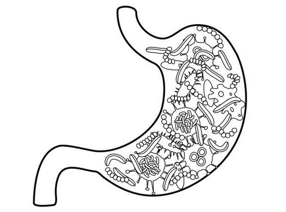 Functional weight loss ingredient, SlimBiome brought to US
