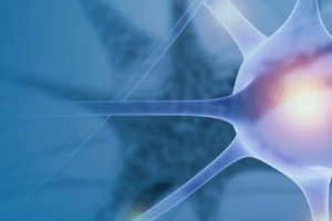 Give consumers a mental edge with one of the world's leading nootropics