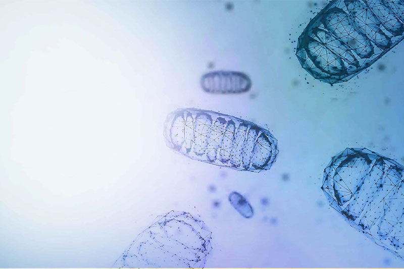 Global mitochondrial health summit to convene scientific and clinical leaders in Sydney