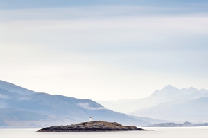 Grøntvedt Biotech launches ingredient brand CETO3