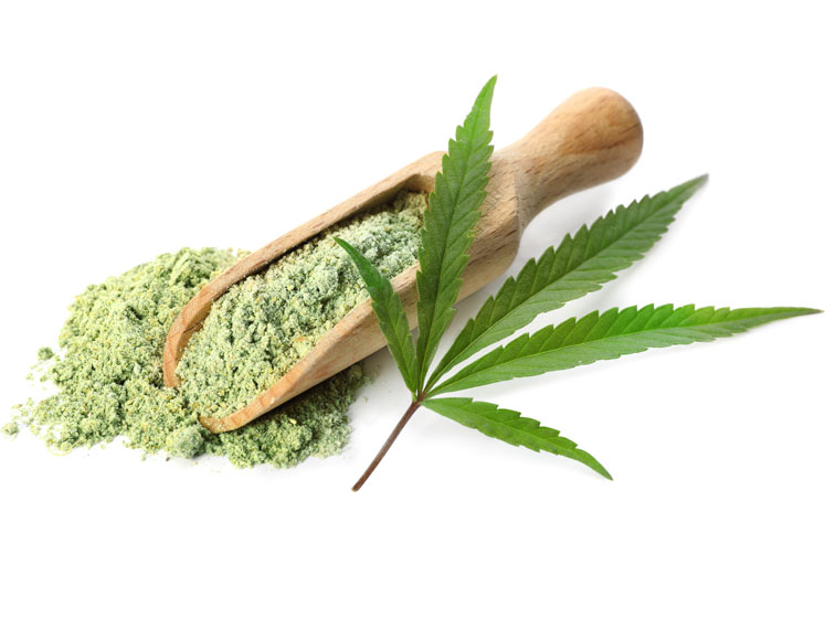 Hemp proteins and CBD: the nutraceutical industry’s rising stars 
