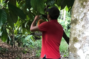 How Amazonian farms supply Clariant with ingredients