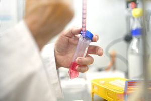 How cell studies boost the development of successful food supplements