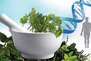 How the US keeps herbal dietary supplements safe