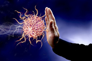 Immune health: the desire for functional ingredients
