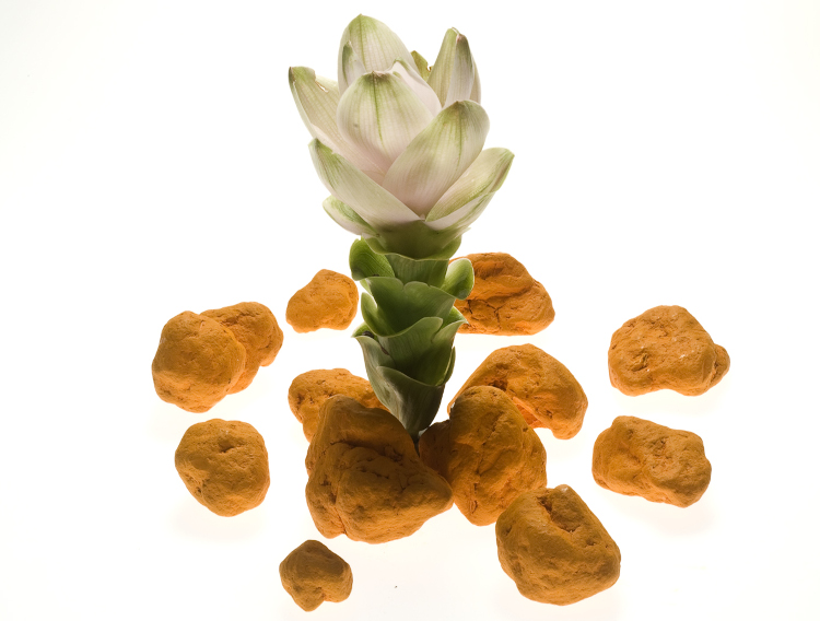 Indena curcumin phytosome supports kidney health, research says