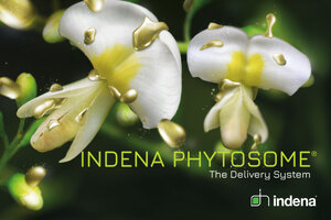 Indena Phytosome®, the original multi-talented technology platform that enhances the power of natural and botanical nutrients
