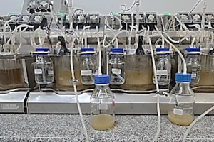 Ingredients By Nature’s experiment shows effect on prediabetes management