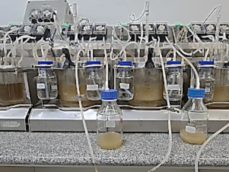 Ingredients By Nature’s experiment shows effect on prediabetes management