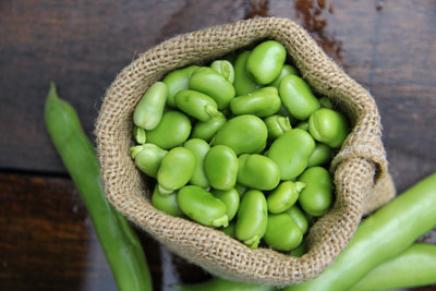 Ingredion to showcase protein-fortified snack at Food Matters Live 2016
