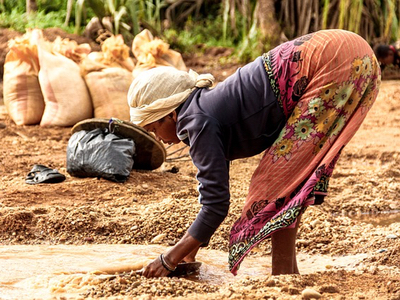 Initiative for vanilla farmers makes final round of GreenTec Awards