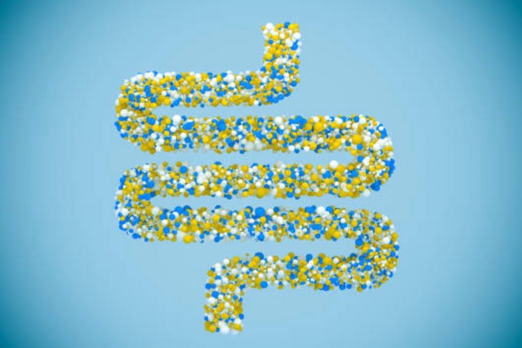 International project launches to draw a microbiome map of the human body