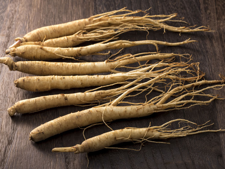 Is ginseng the root of vitality?
