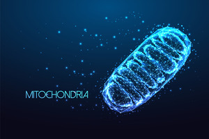 Kaneka Ubiquinol announces inaugural mitochondrial health category sponsorship at Vitafoods Europe 2026