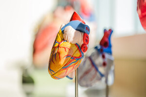 Karallief heart formula significantly reduces total cholesterol